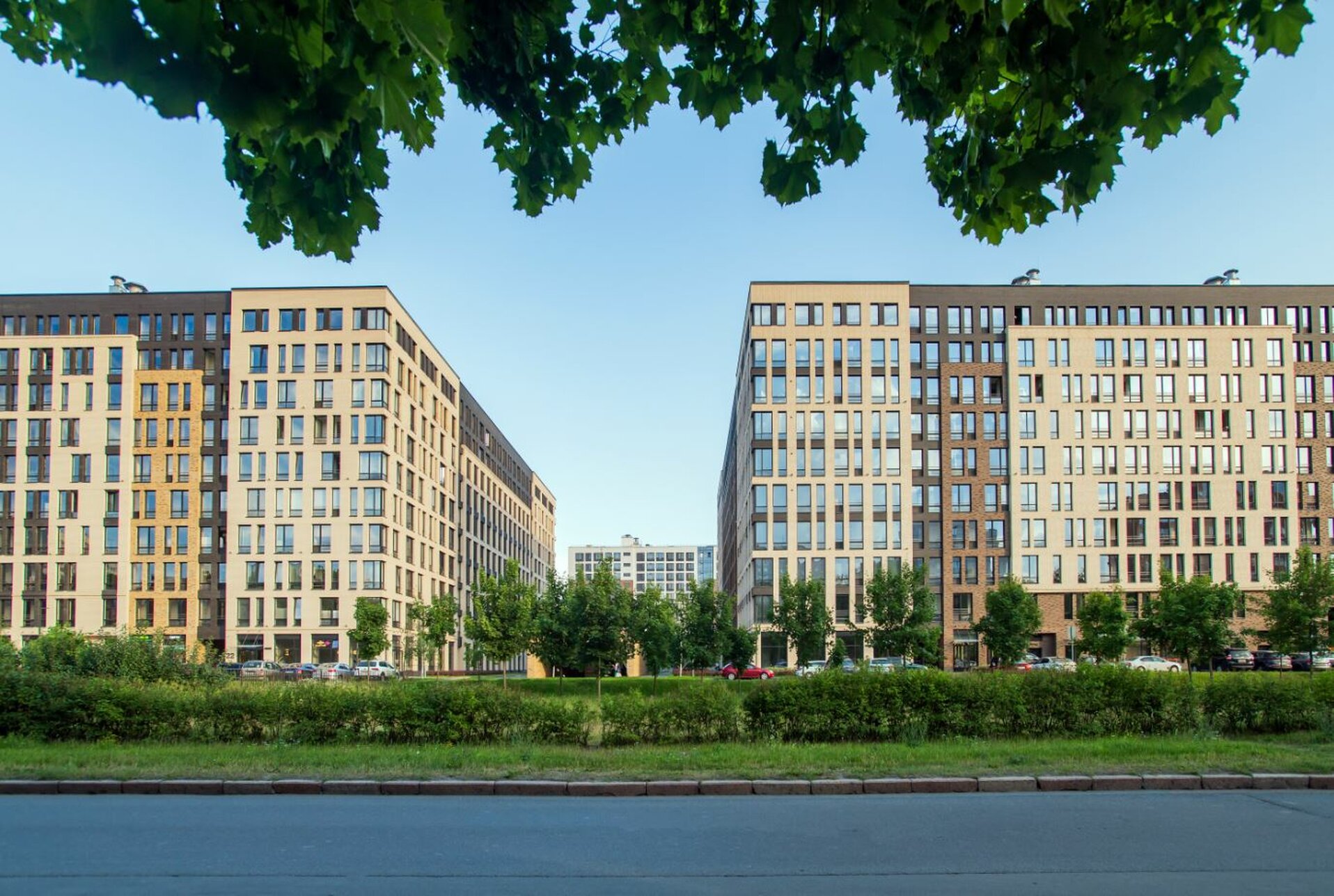 Фотография Svetlana Park