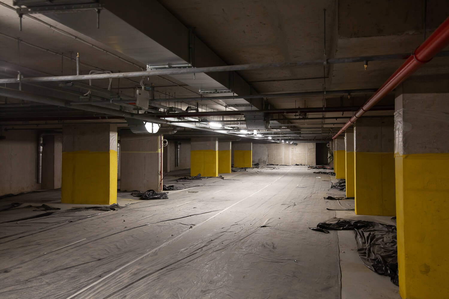 Фотография ZOOM на Неве